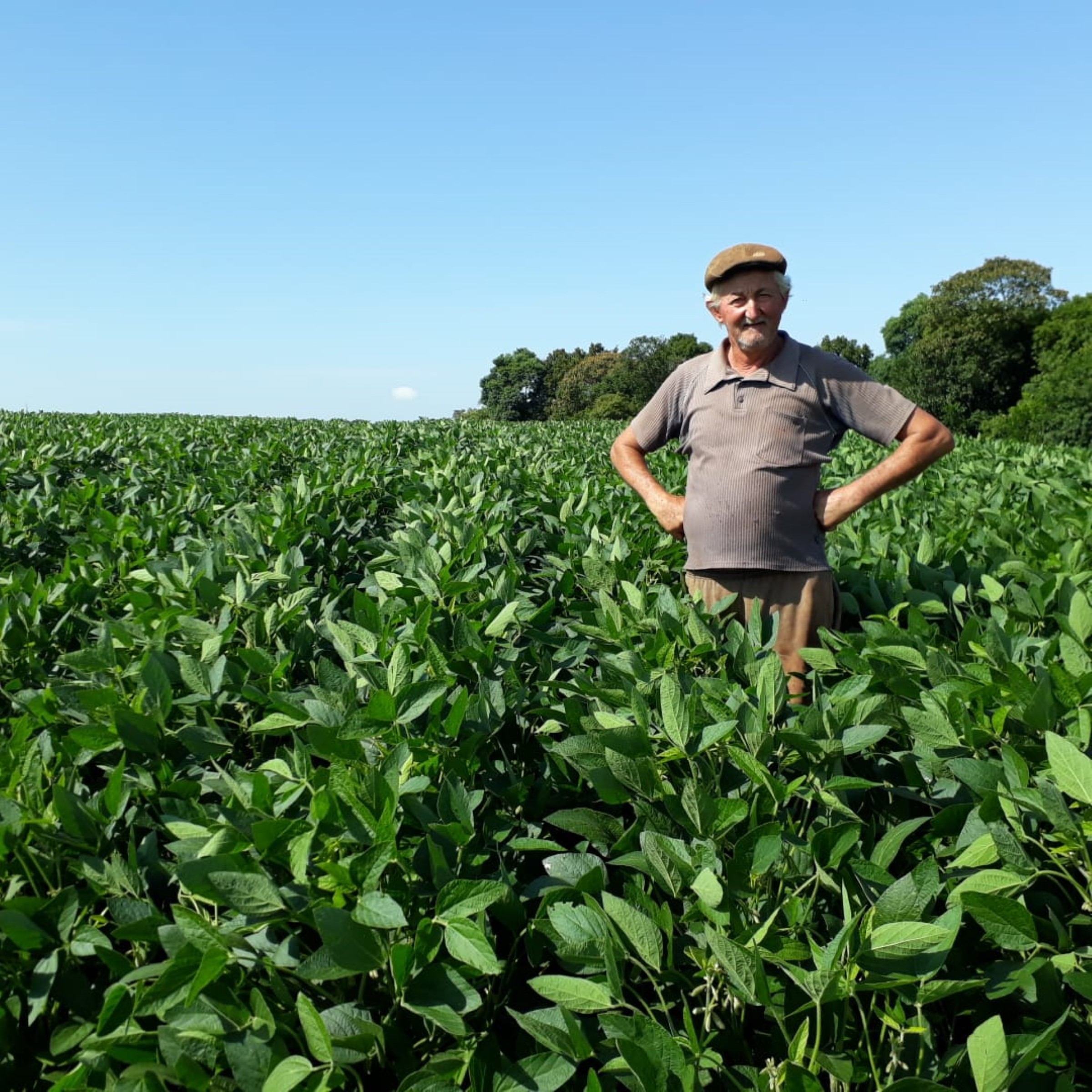  Agricultor Afonso Caye, da localidade de Linha São Luiz, em EstrelaFoto divulgação: EMATER/RS