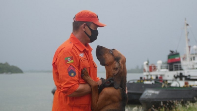 A dupla formada por bombeiro militar cinotécnico e cão é chamada de binômio - Foto: Elias Ramos/CBMRS
