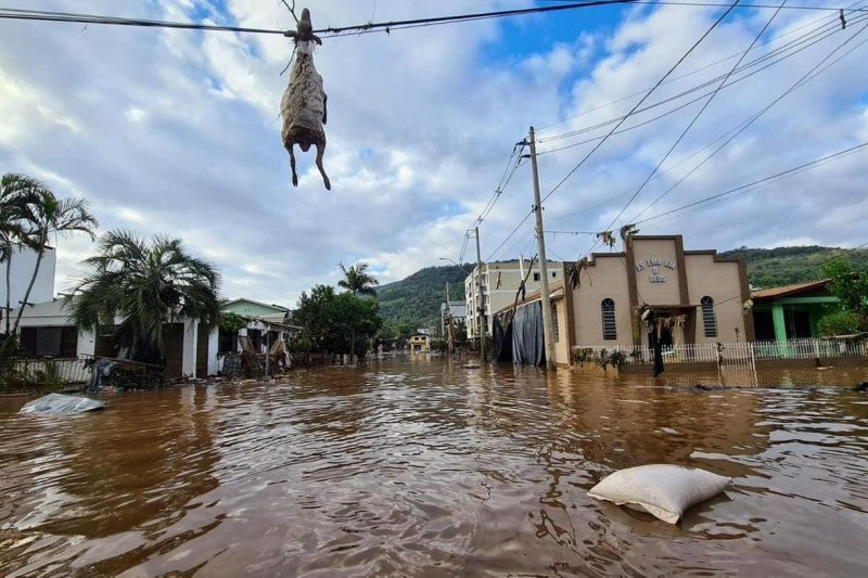 A imagem mostra o animal suspenso na Avenida Fernando Ferrari, que acabou ficando submersa devido às intensas chuvas - Foto: Reprodução/Facebook/Fabiano Conte