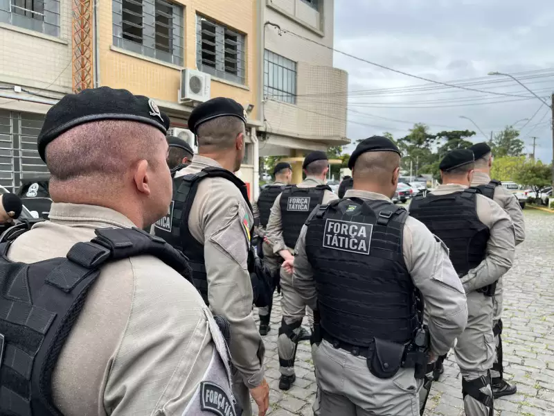 O número de armas apreendidas pela corporação chegou a 2,86 mil Foto: BM/Divulgação