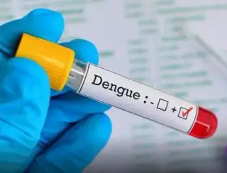Rio Grande do Sul registra o quinto óbito por dengue em 2024