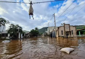 A imagem mostra o animal suspenso na Avenida Fernando Ferrari, que acabou ficando submersa devido às intensas chuvas - Foto: Reprodução/Facebook/Fabiano Conte