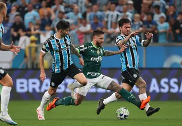 Foto: Cesar Greco/Palmeiras Agora com 43 pontos, oito a menos que o líder Botafogo, o Tricolor reassumiu o 3º lugar. (Foto: Cesar Greco/Palmeiras)