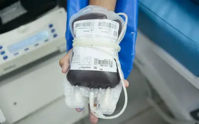 Aplicativo facilitará doações de sangue no Brasil