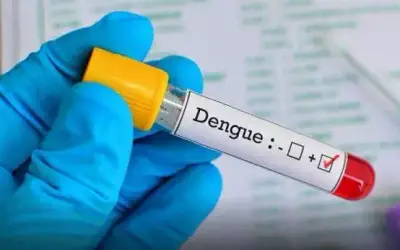 Rio Grande do Sul registra o quinto óbito por dengue em 2024