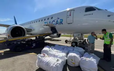 Avião da presidente do Palmeiras chega ao Rio Grande do Sul com cinco toneladas em doações